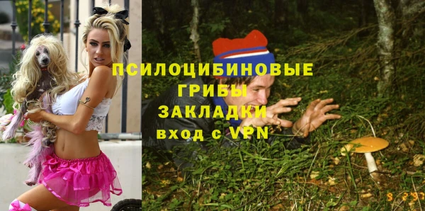 мяу мяу мука Бугульма
